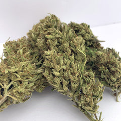 Premium THCa Hemp Flower