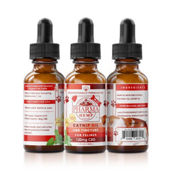 Catnip Oil CBD Tincture for Pets 120mgs – Holistic Formula