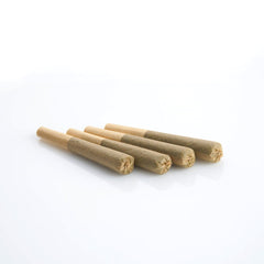 Delta-8 Hemp Prerolls (5-pack)