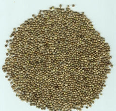 Hemp Plant High Germination Rate Garden Seeds